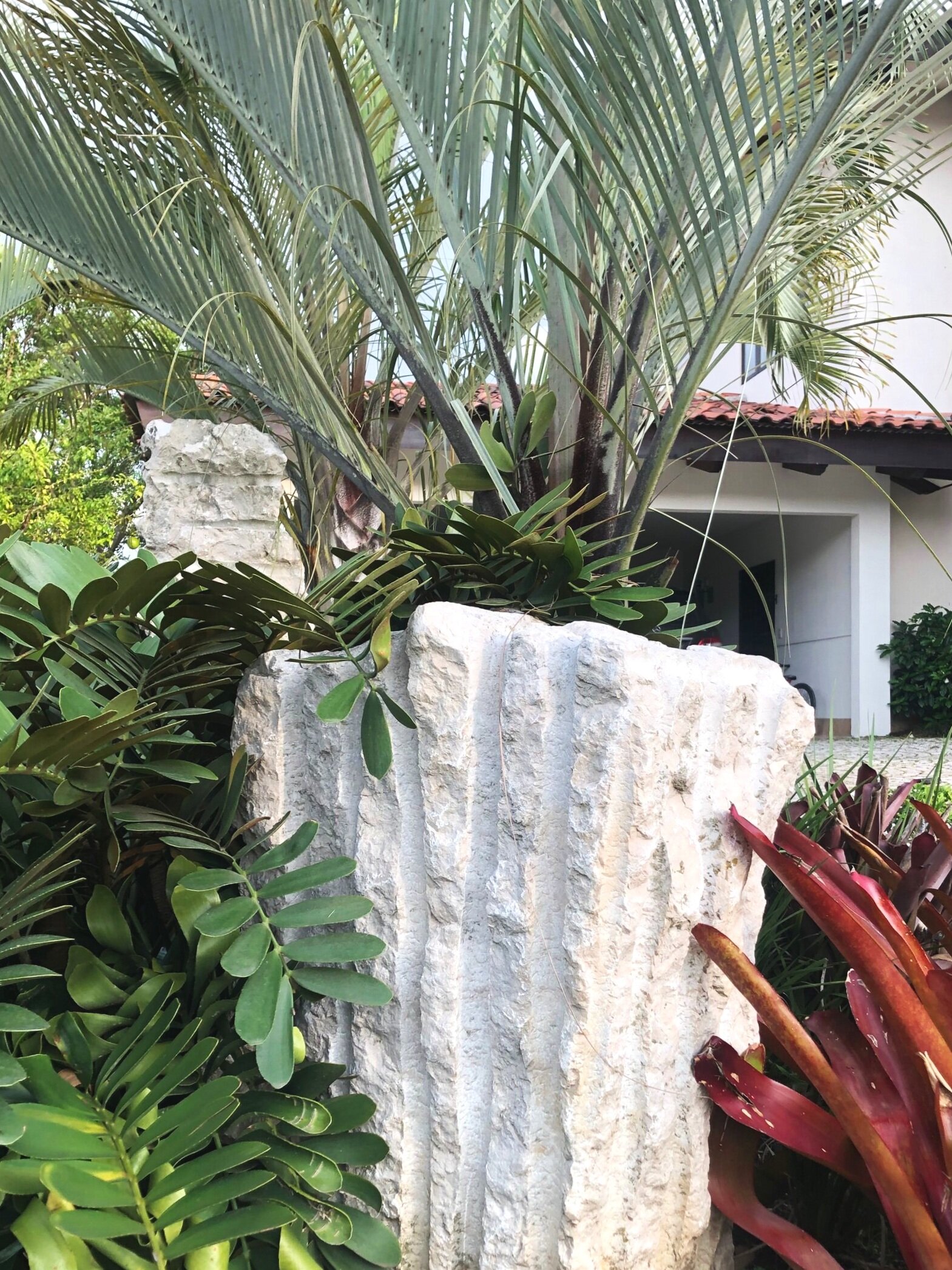 64A9C894-F06D-455D-836B-F44AB9622126