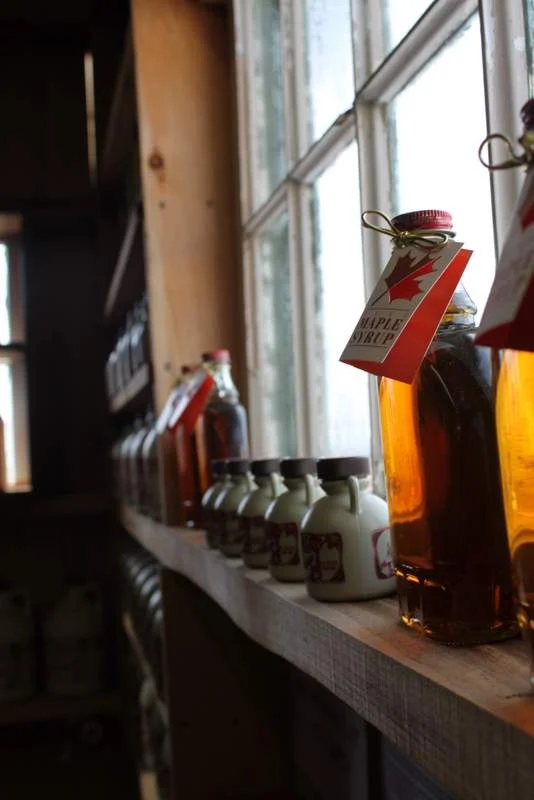 Real Maple Syrup in Upstate New York