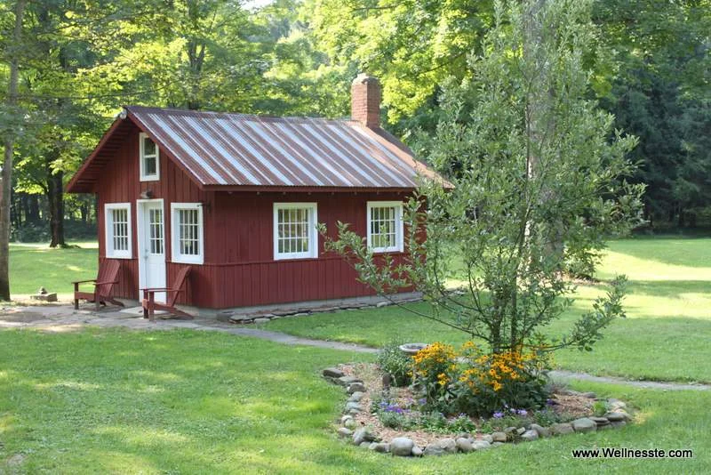 Thoreau's Cabin- Cabin Rentals at Wellnesste Lodge in Taberg NY
