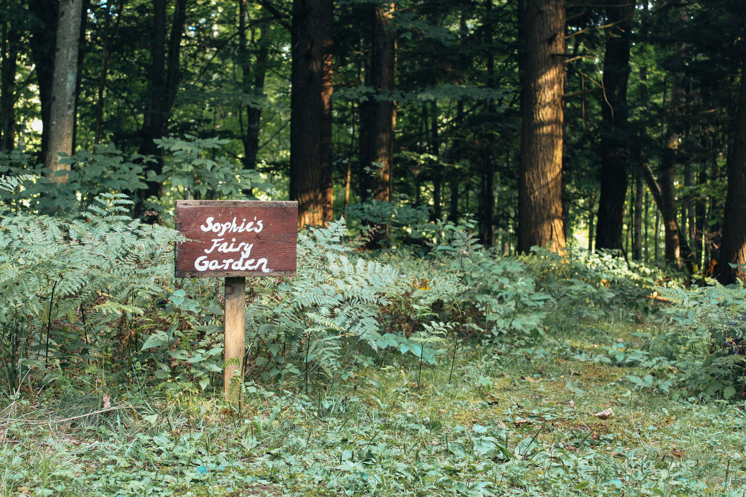 Marin_FairyHouses_8579.jpg