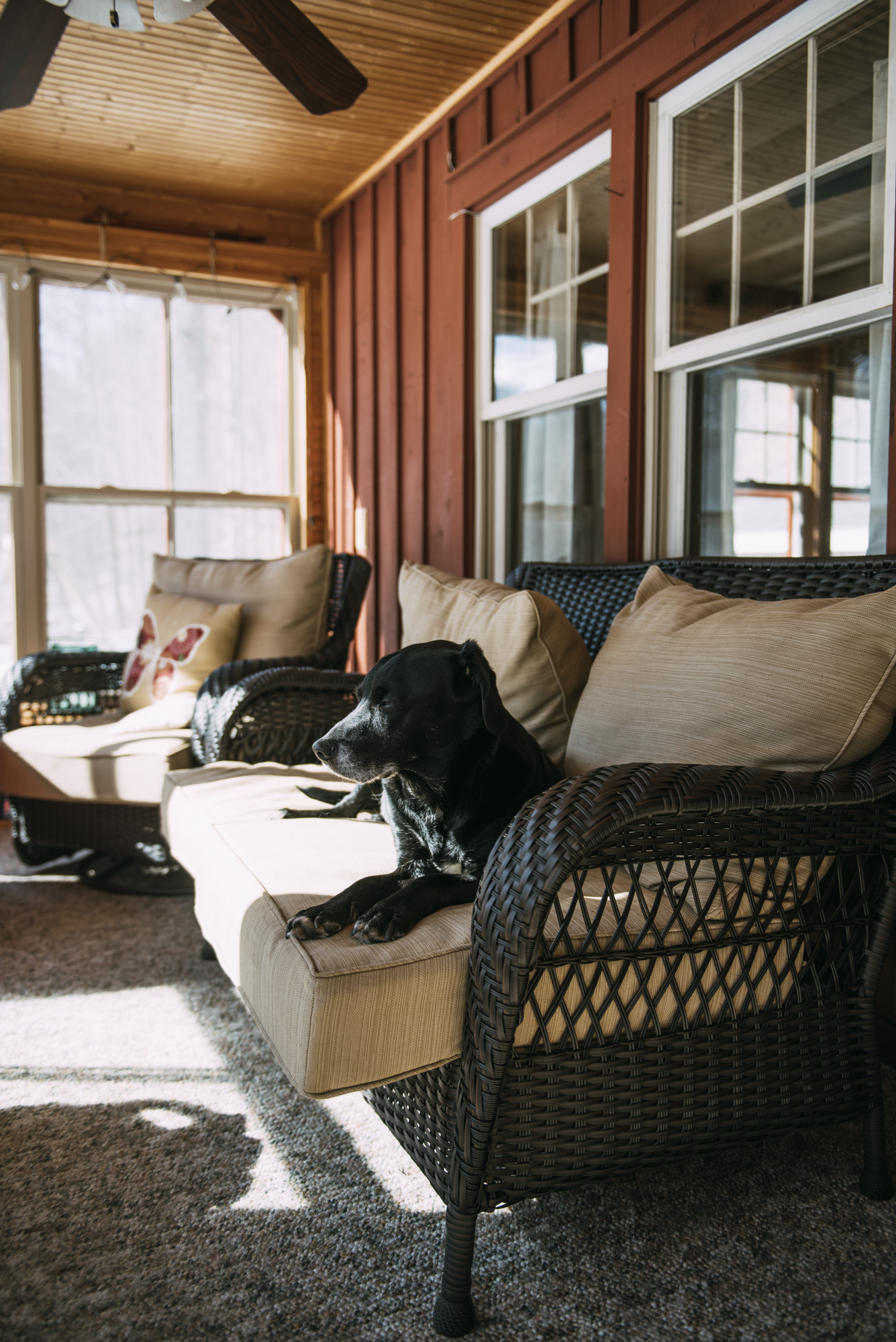 Nature loving, outdoor adventuring and just chilling out- Wellnesste Cabin Rentals offers a unique setting just for YOU.