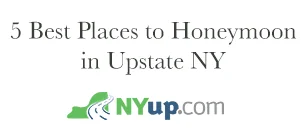 footer-logo-nyup-inc.png