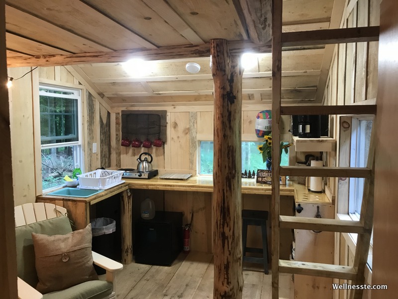 Goodall's Treehouse Cabin at Wellnesste Lodge in Upstate NY_Main Floor.jpg