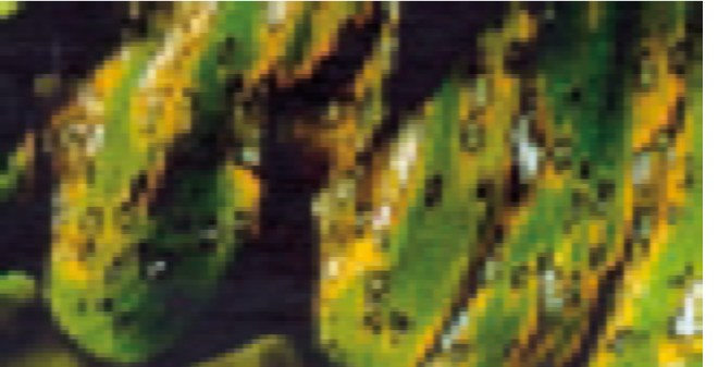 Stage 6.png