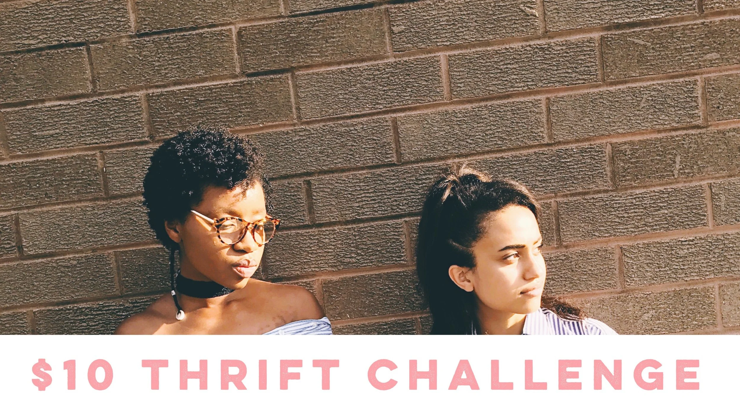 $10 Thrift Challenge + Tips