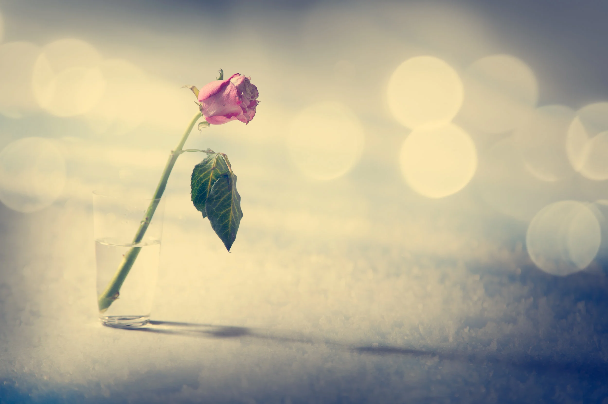 Photo by brickrena/iStock / Getty Images