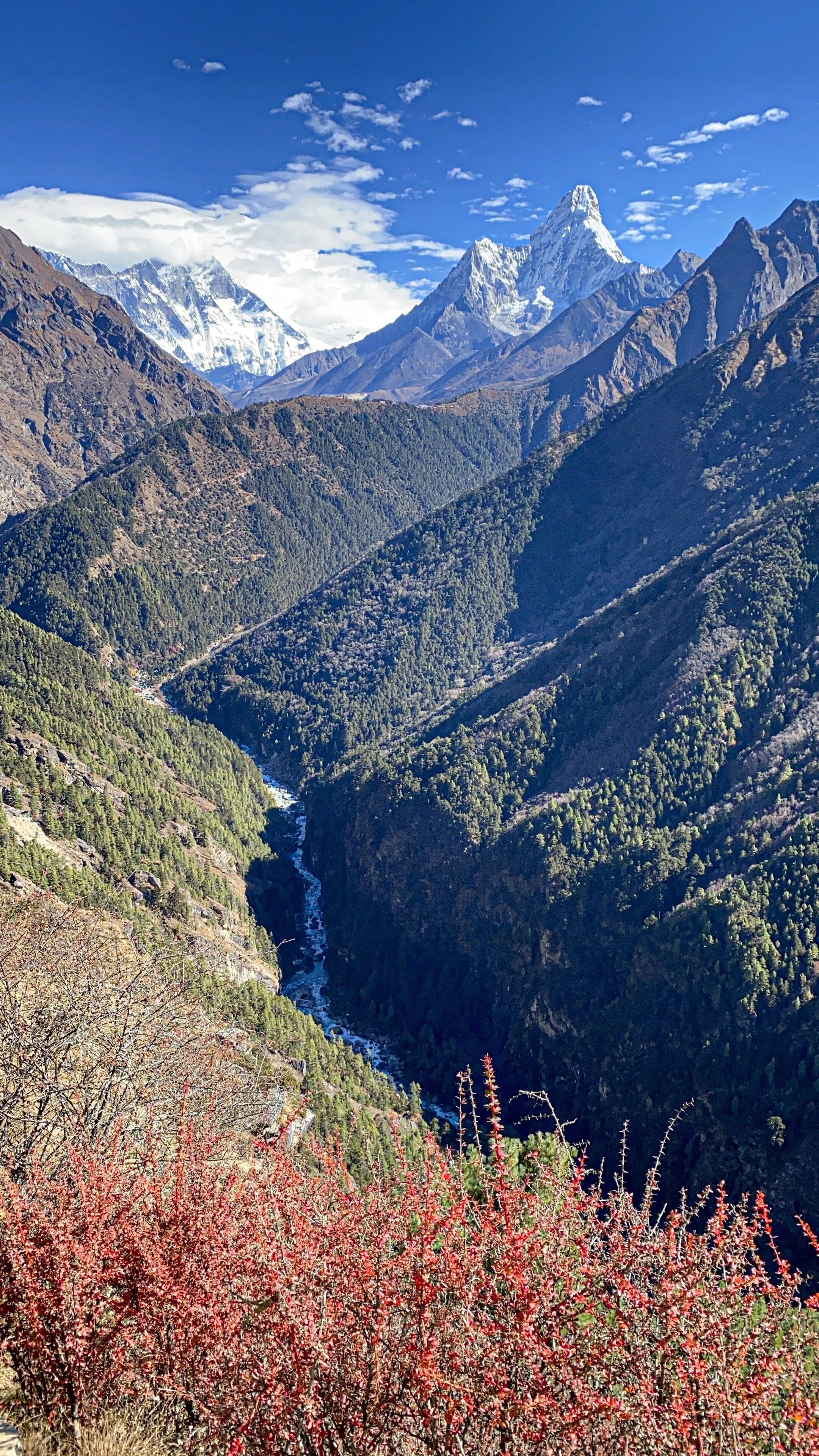 9D4EC9BE-66A0-4605-AD7F-30FD336AB3C2 2.JPG