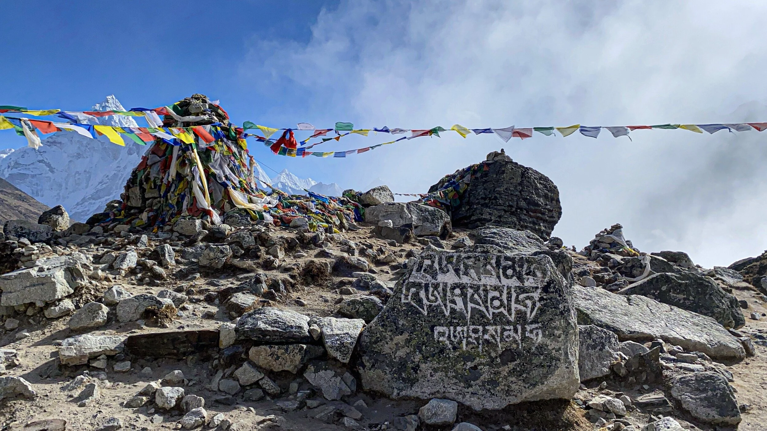 D6BBE62D-80A2-4091-9D2C-AF04EBE7EDBF 2.JPG