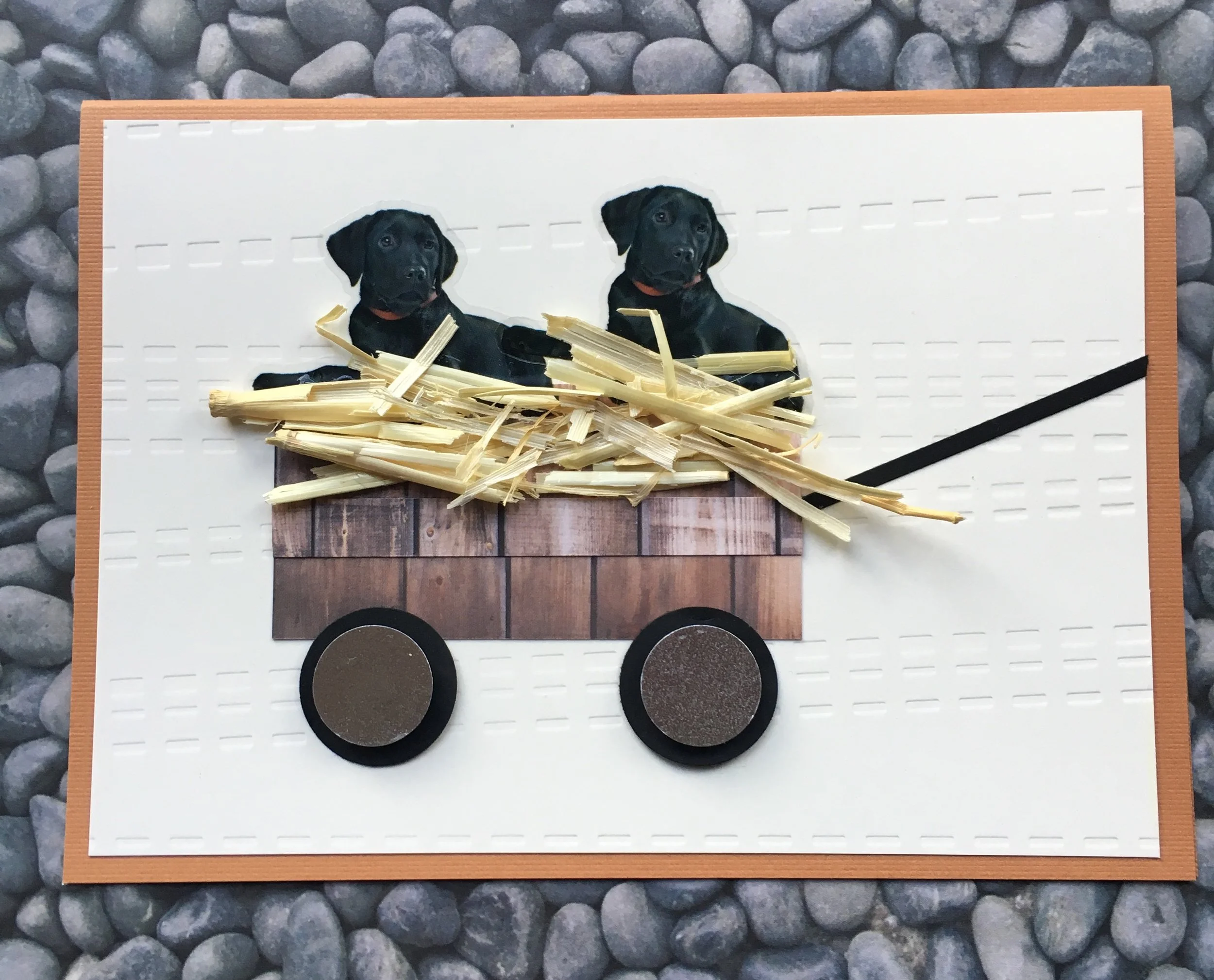 Labs in Wagon.jpg