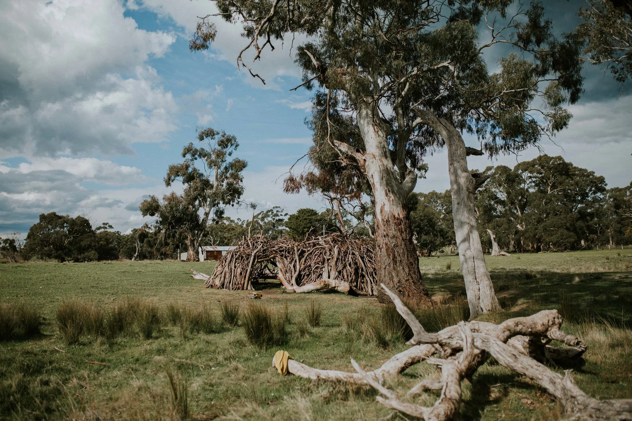 Sims Family Low Res File-39.jpg