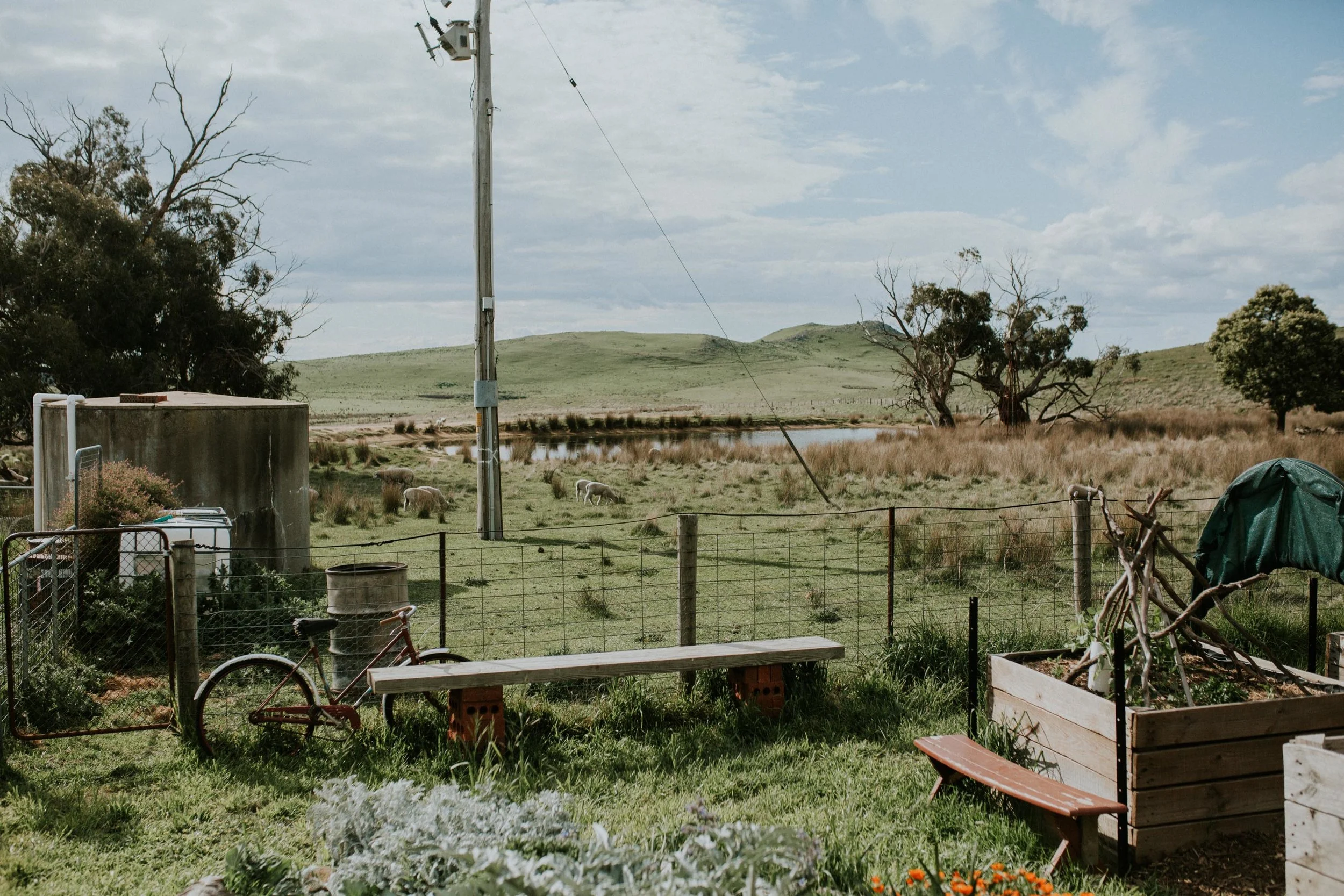 Sims Family Low Res File-58.jpg