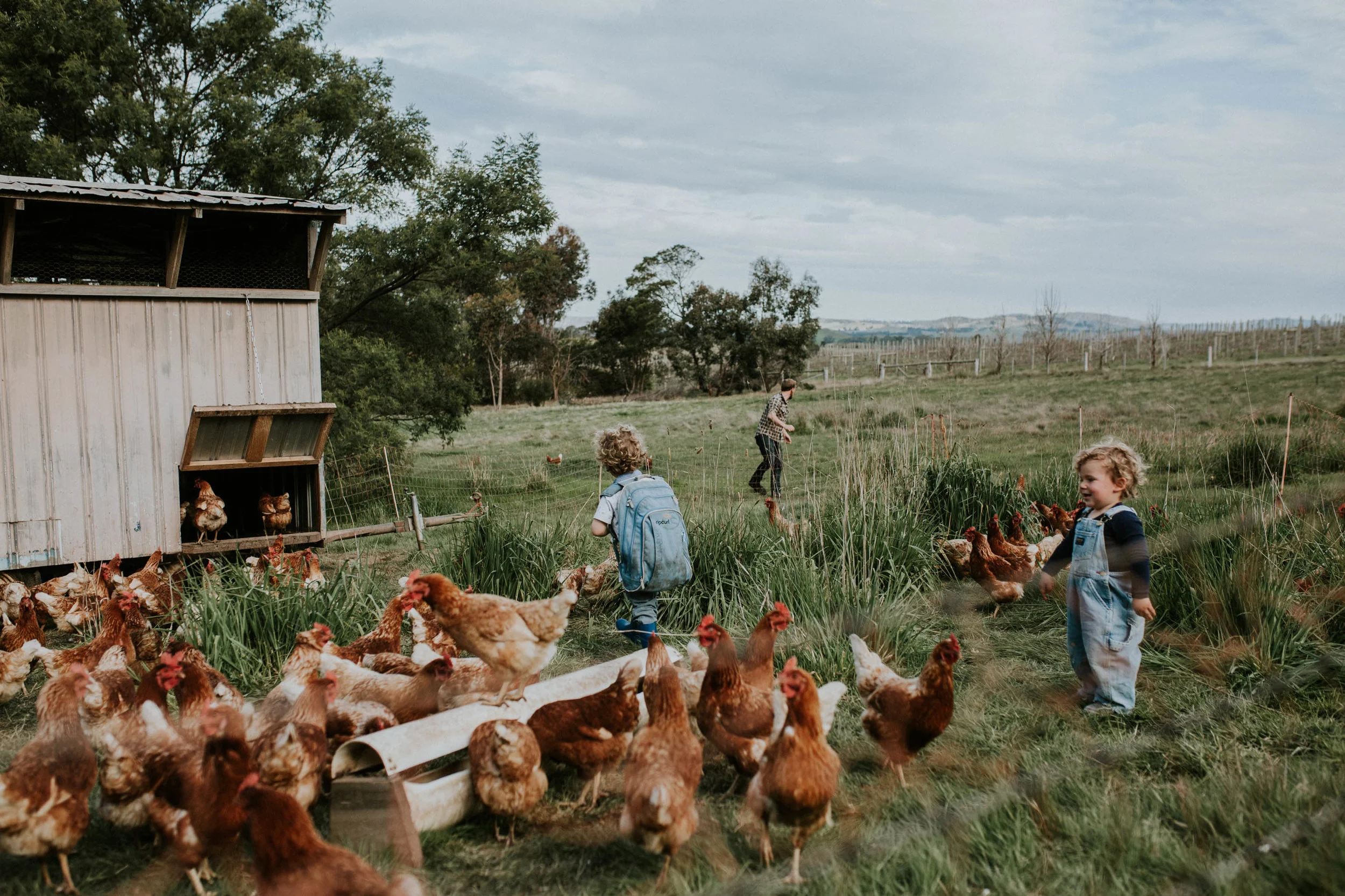 Sims Family Low Res File-60.jpg