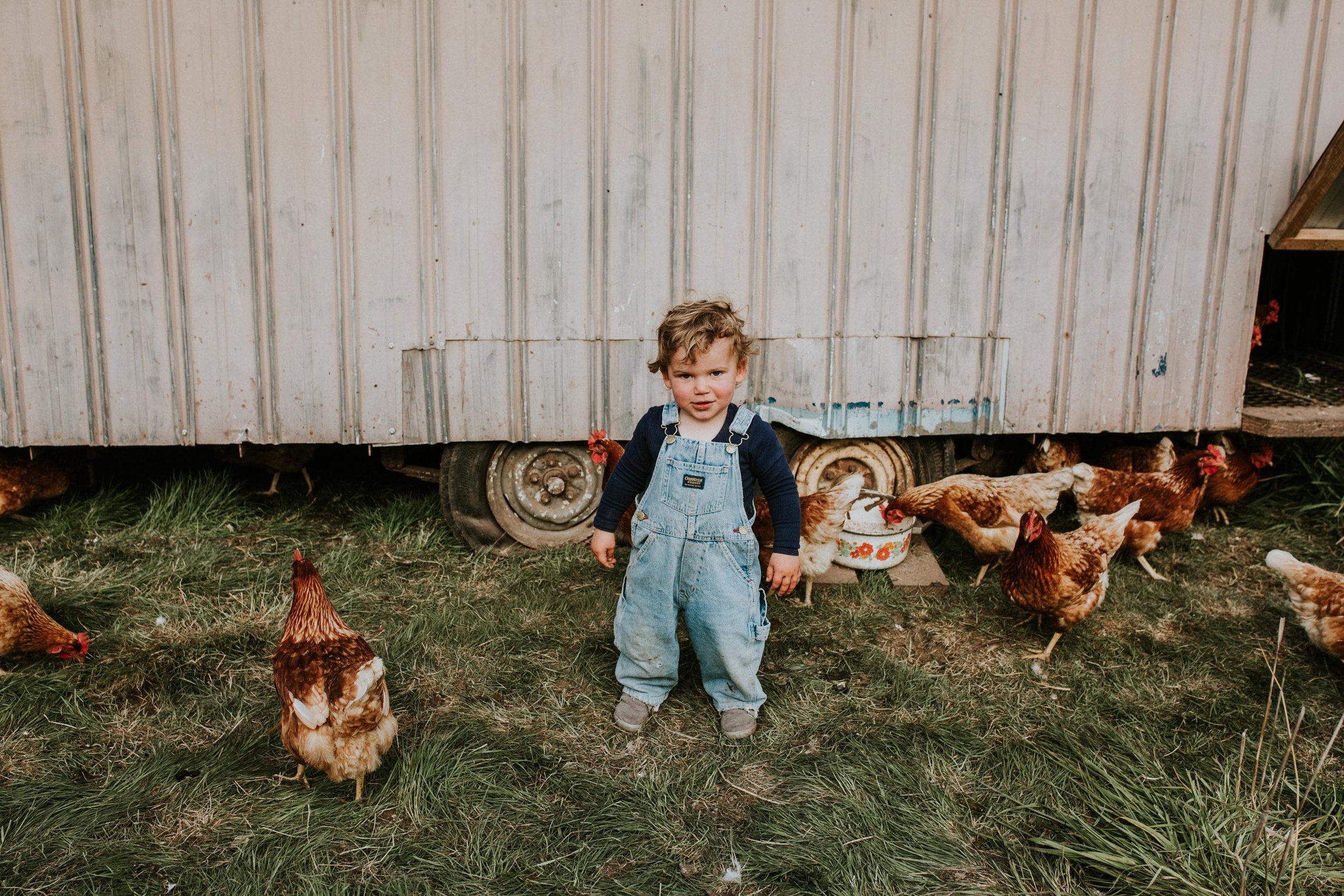 Sims Family Low Res File-72.jpg