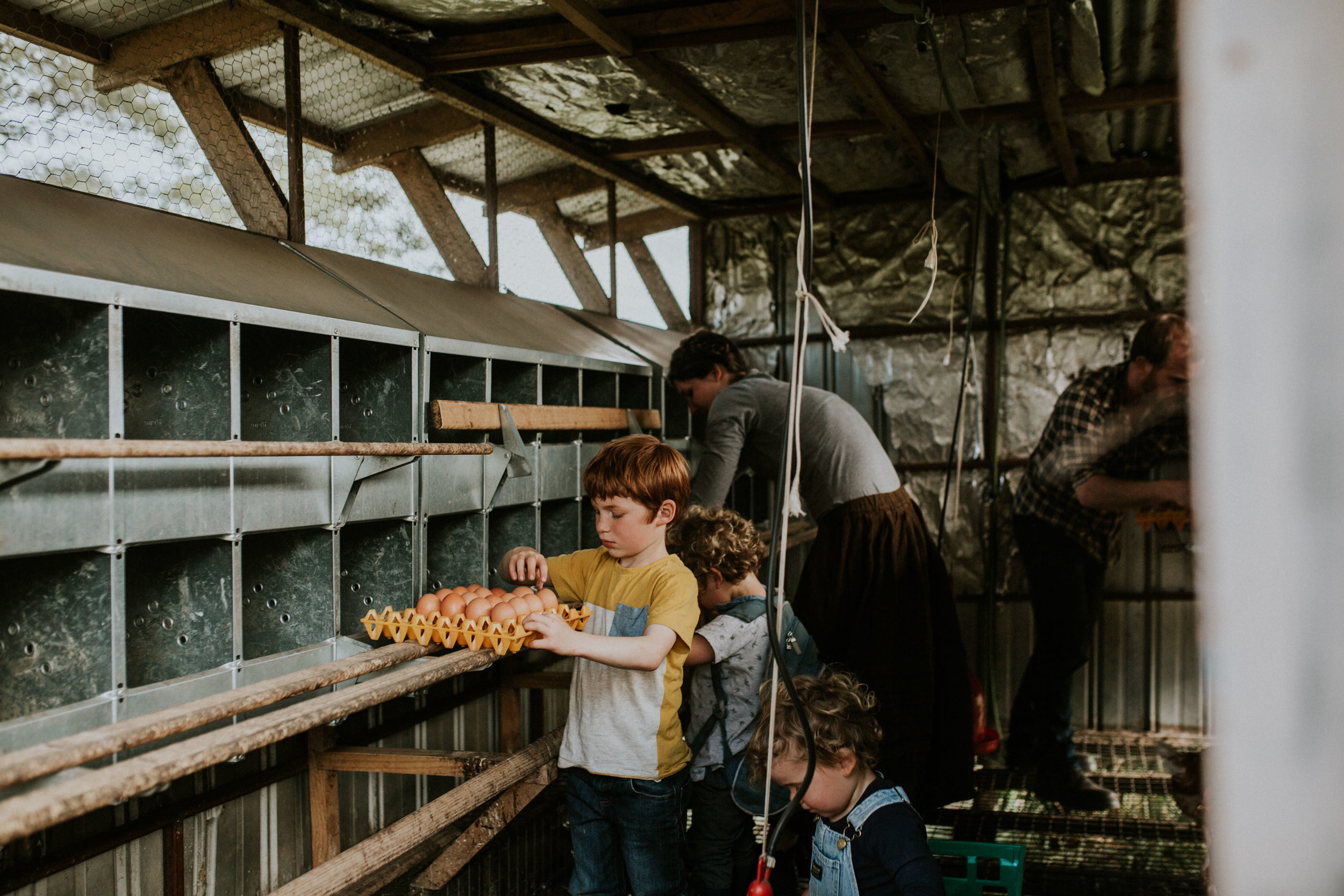 Sims Family Low Res File-81.jpg