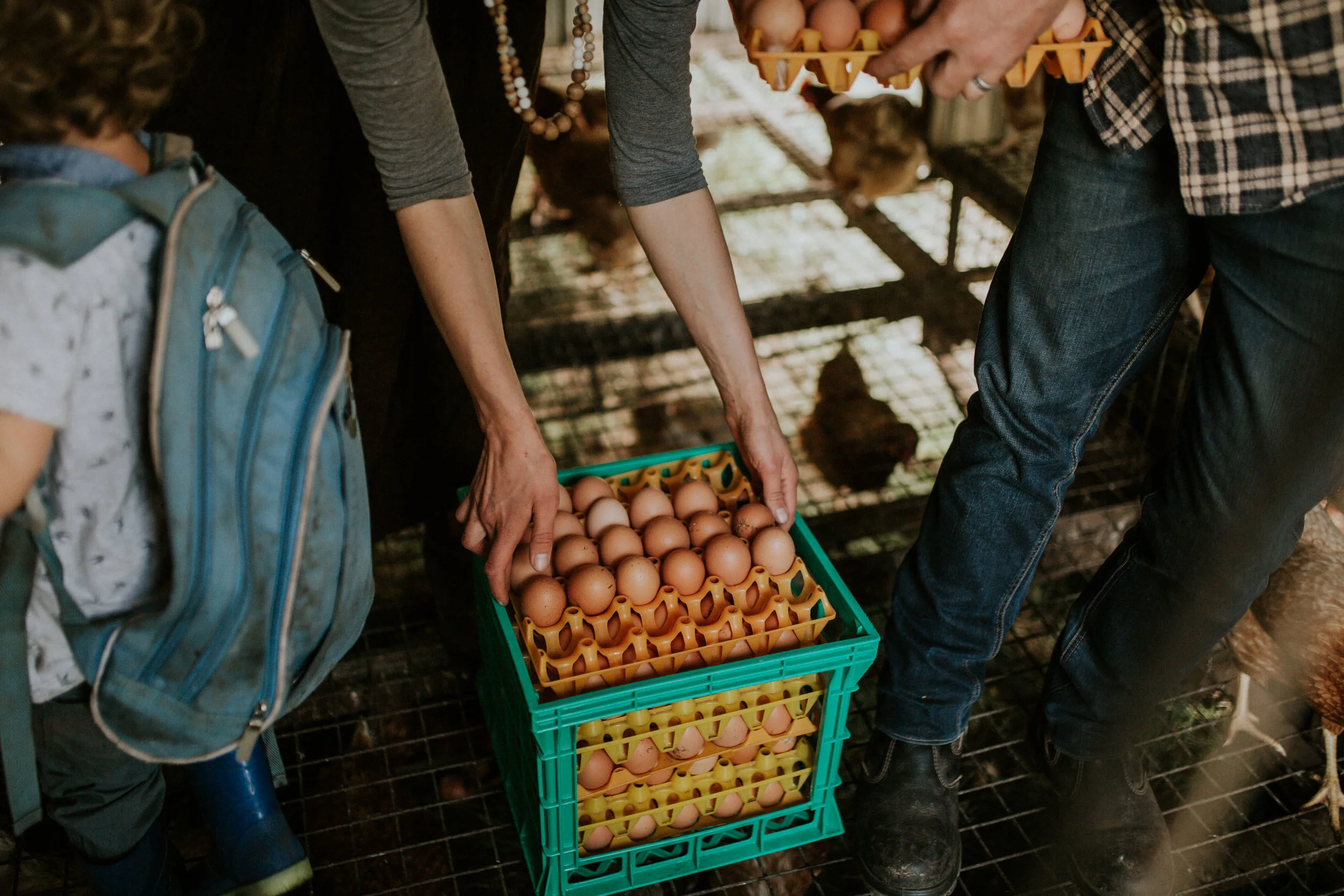 Sims Family Low Res File-85.jpg