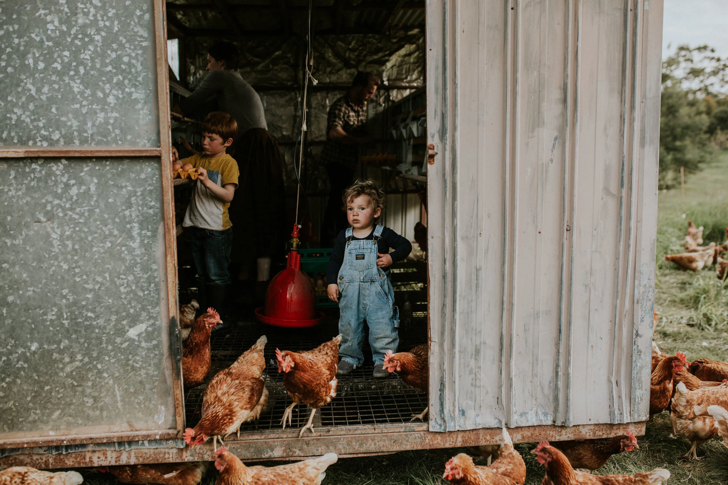 Sims Family Low Res File-80.jpg