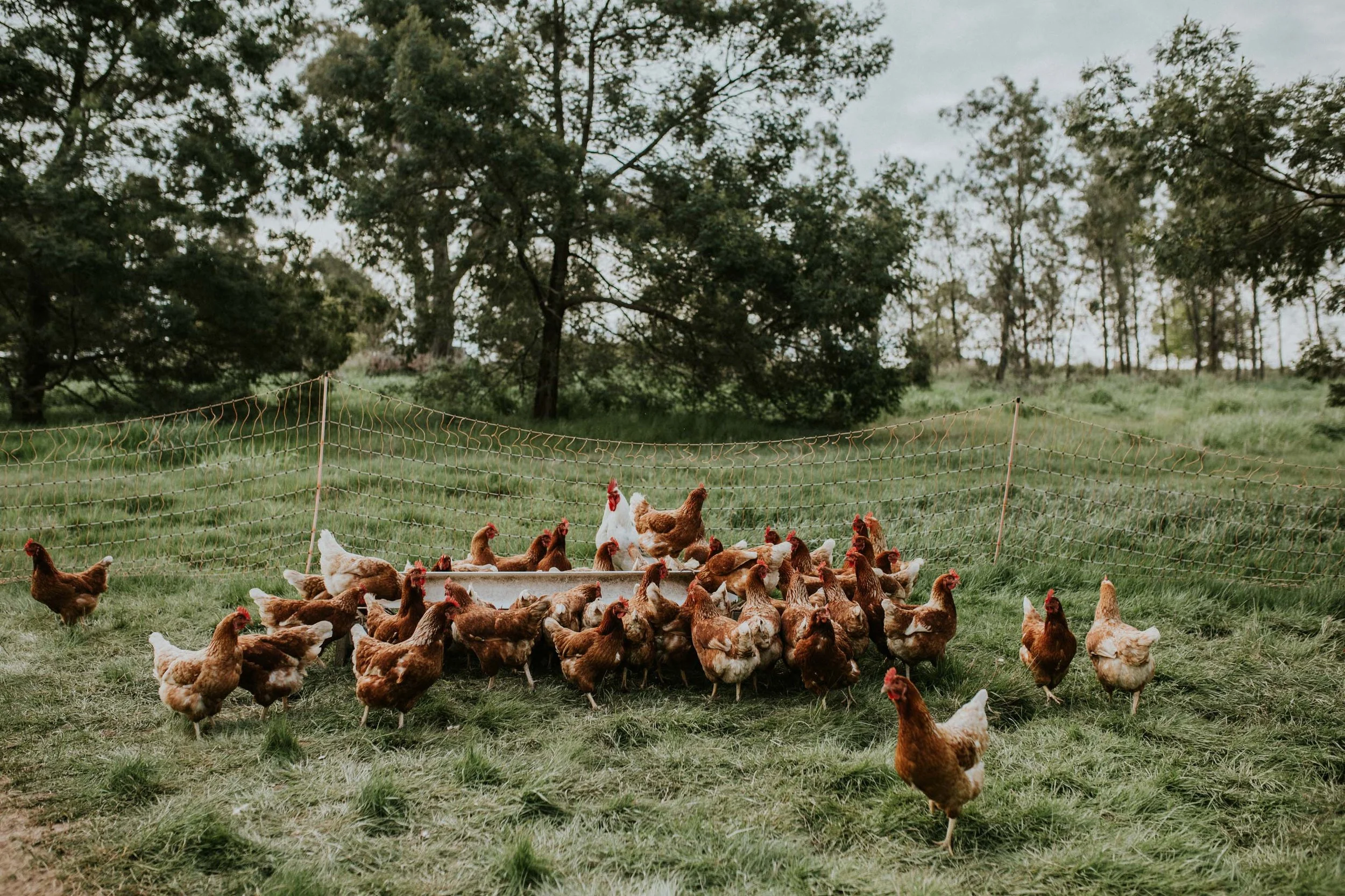 Sims Family Low Res File-107.jpg