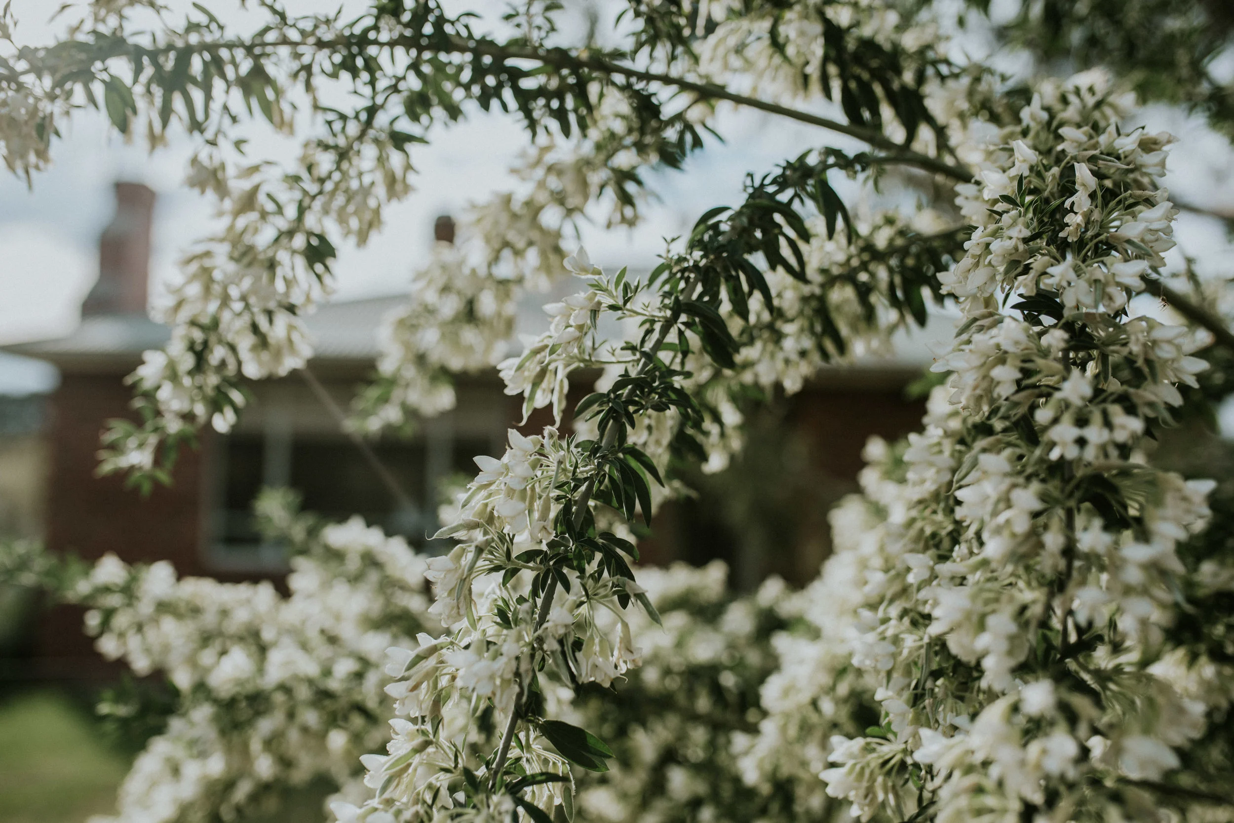 Sims Family Low Res File-117.jpg