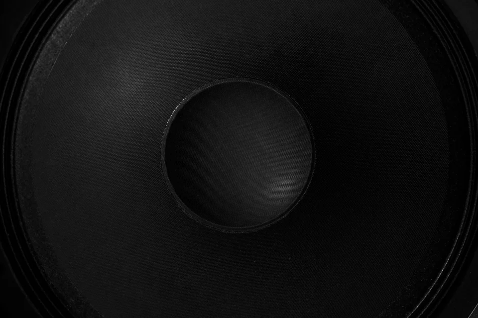 SPEAKER 2 BG PIXEL 1.jpg