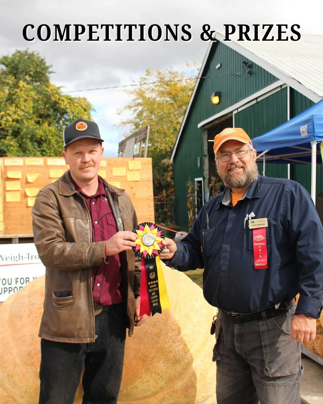 FAIR HIGHLIGHT = The biggest and the best are entered into the competitions. Look at award-winning vegetables, baked goods and many more at the 178th Woodbridge Fall Fair🏆

For more information and to purchase tickets, visit the link in bio🔗

#wood