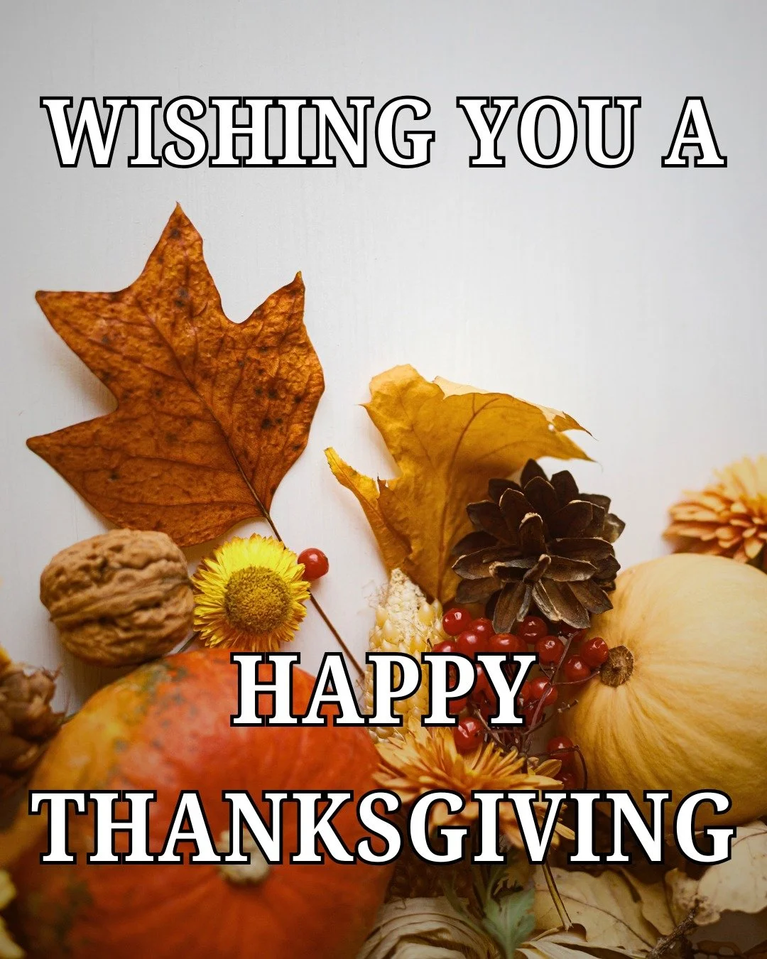 Wishing you a happy Thanksgiving from the Woodbridge Fall Fair! The fair is open this weekend 🍁🦃

#woodbridge #happythanksgiving #thanksgiving #fair #woodbridgefallfair #fallfair #fall #autumn #celebrate #opennow #thanksgivingweekend #pumpkin #fun 