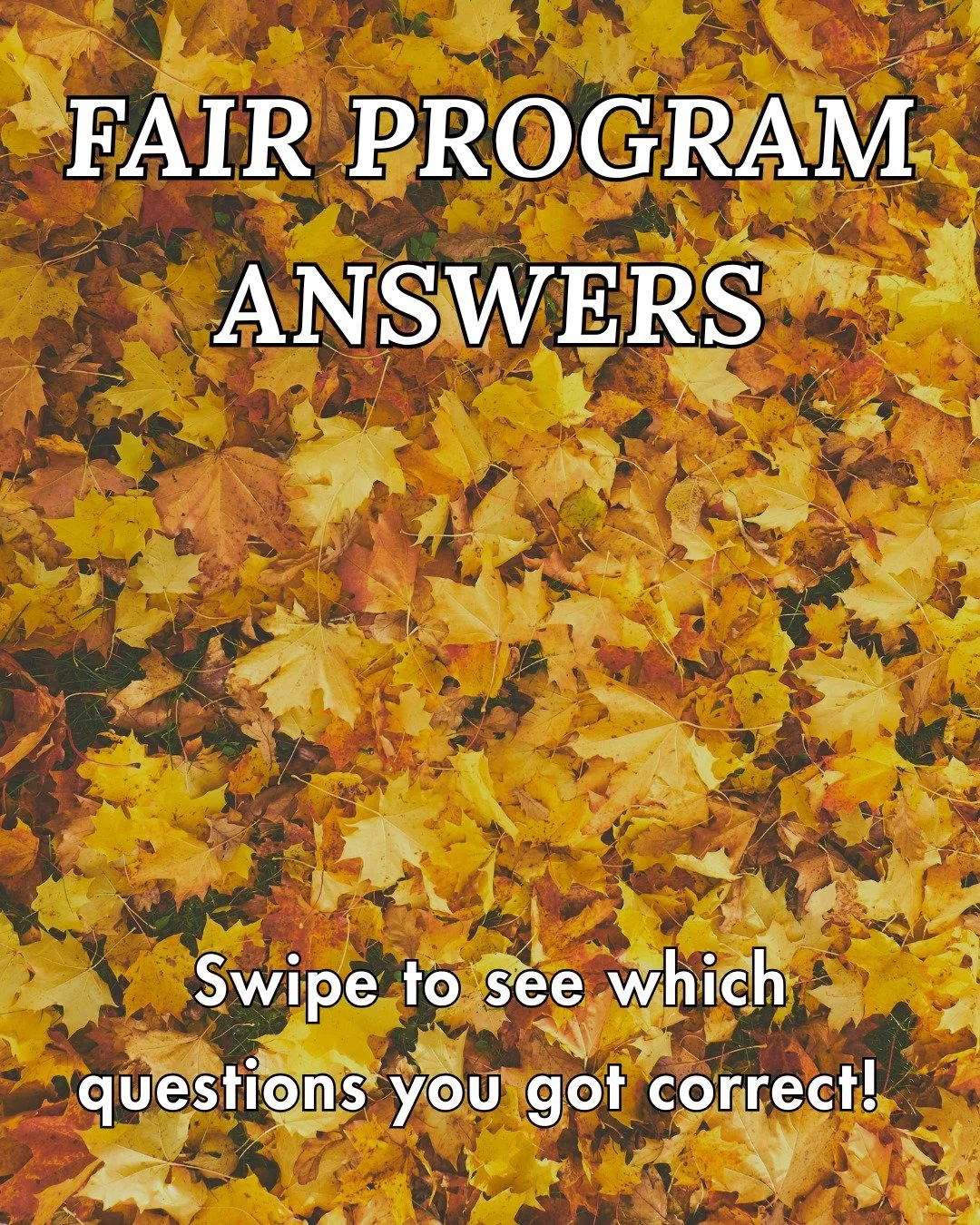 Remember the questions that were on the back of the Woodbridge Fall Fair program. Swipe to see which ones you got correct!

#fair #fallfair #woodbridgefallfair #178woodbridgefallfair #program #thanksgiving #history #local #animals #pumpkins #question