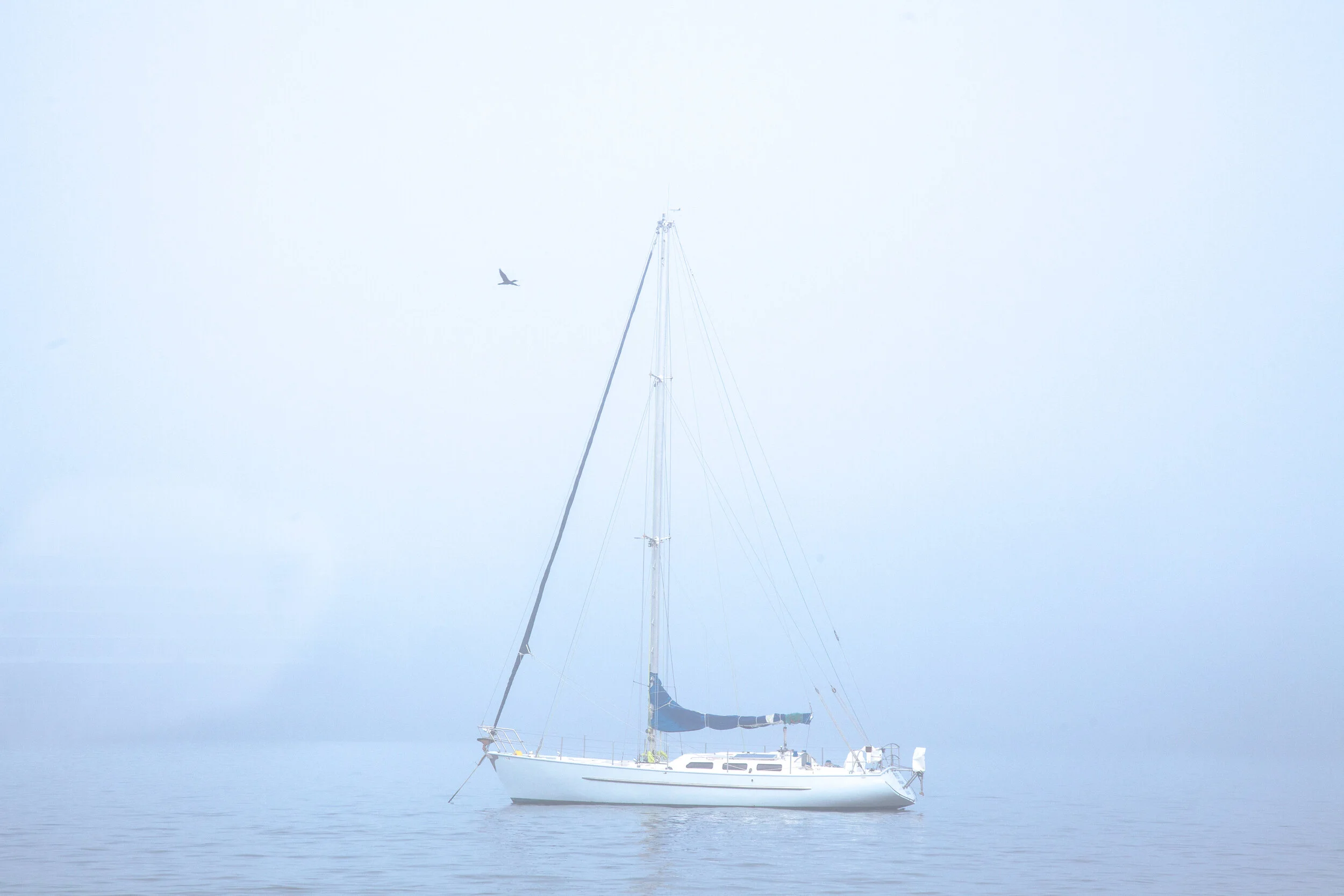 untitled-3.jpg