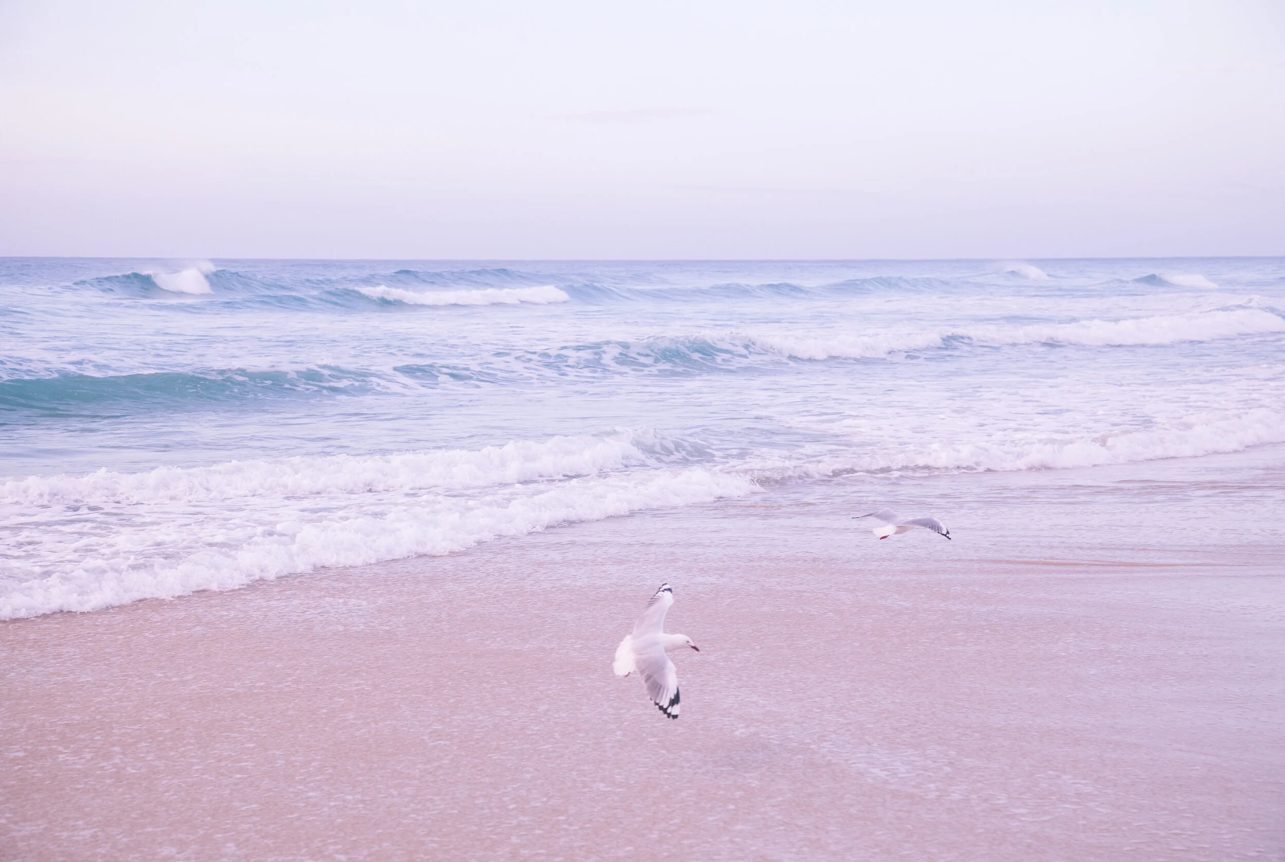 untitled-11.jpg