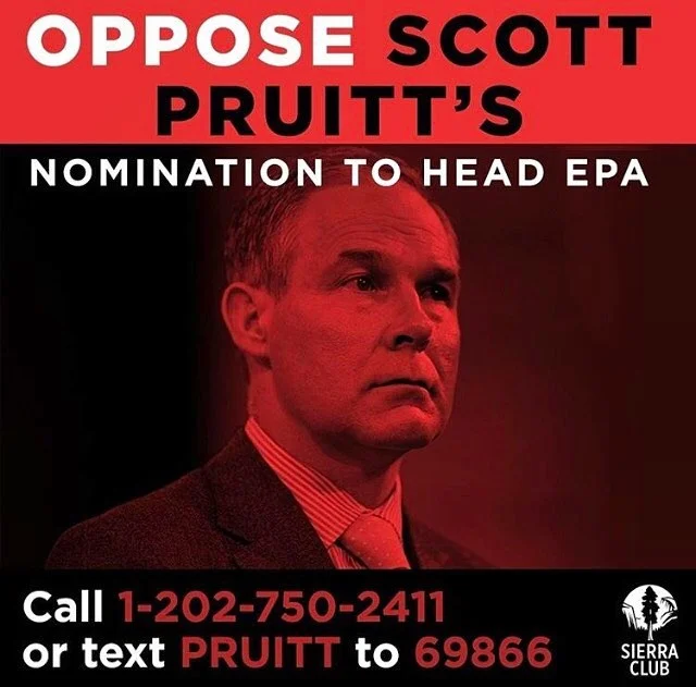 It's unbelievable that we must fight our current administration in order to protect our environment, but that's the reality + we are all fired up. There's still time #opposepruitt #protectEPA #scottpruitt #epa #environment #climatechange #climatechangeisreal #science #scienceisreal #fight #planetearth #nature #oil #sustainability #protectnature #activist #strongertogether #nevergoingback #notmypresident