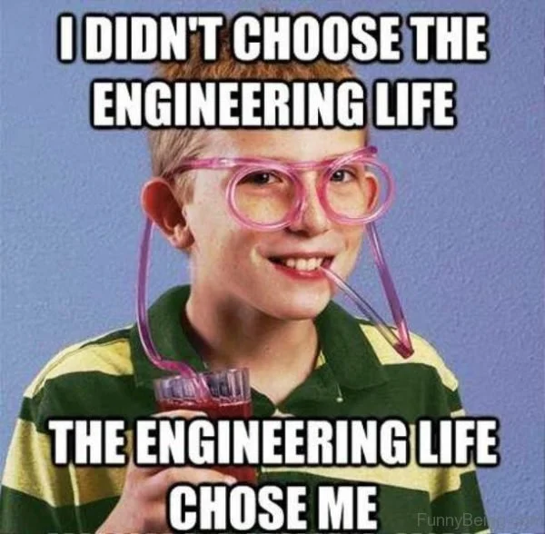 I-Didnt-Choose-The-Engineering-Life-600x588.jpg