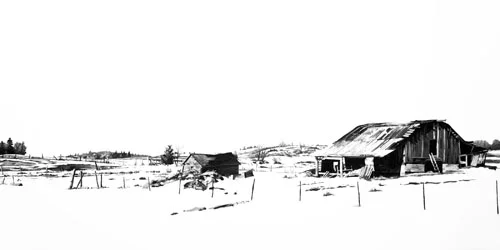 Winter no.1