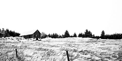 Spring no.4