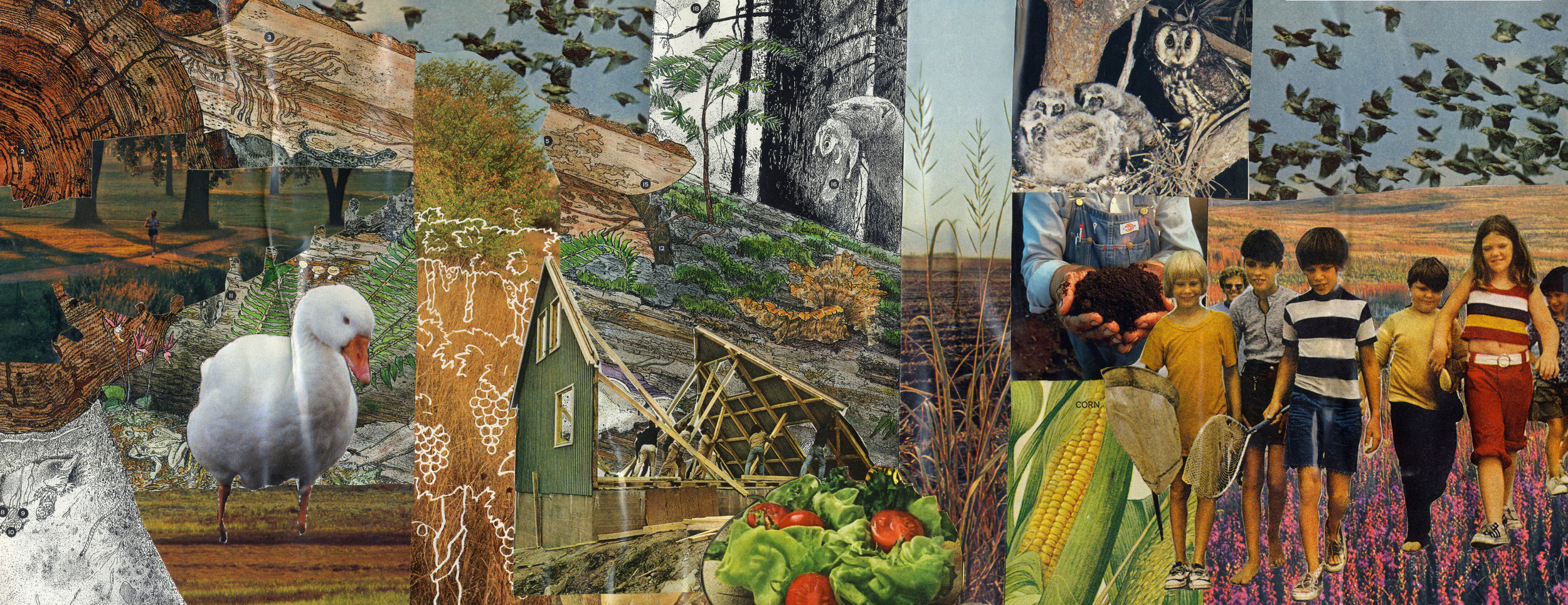 FORAGE CONCEPT COLLAGE