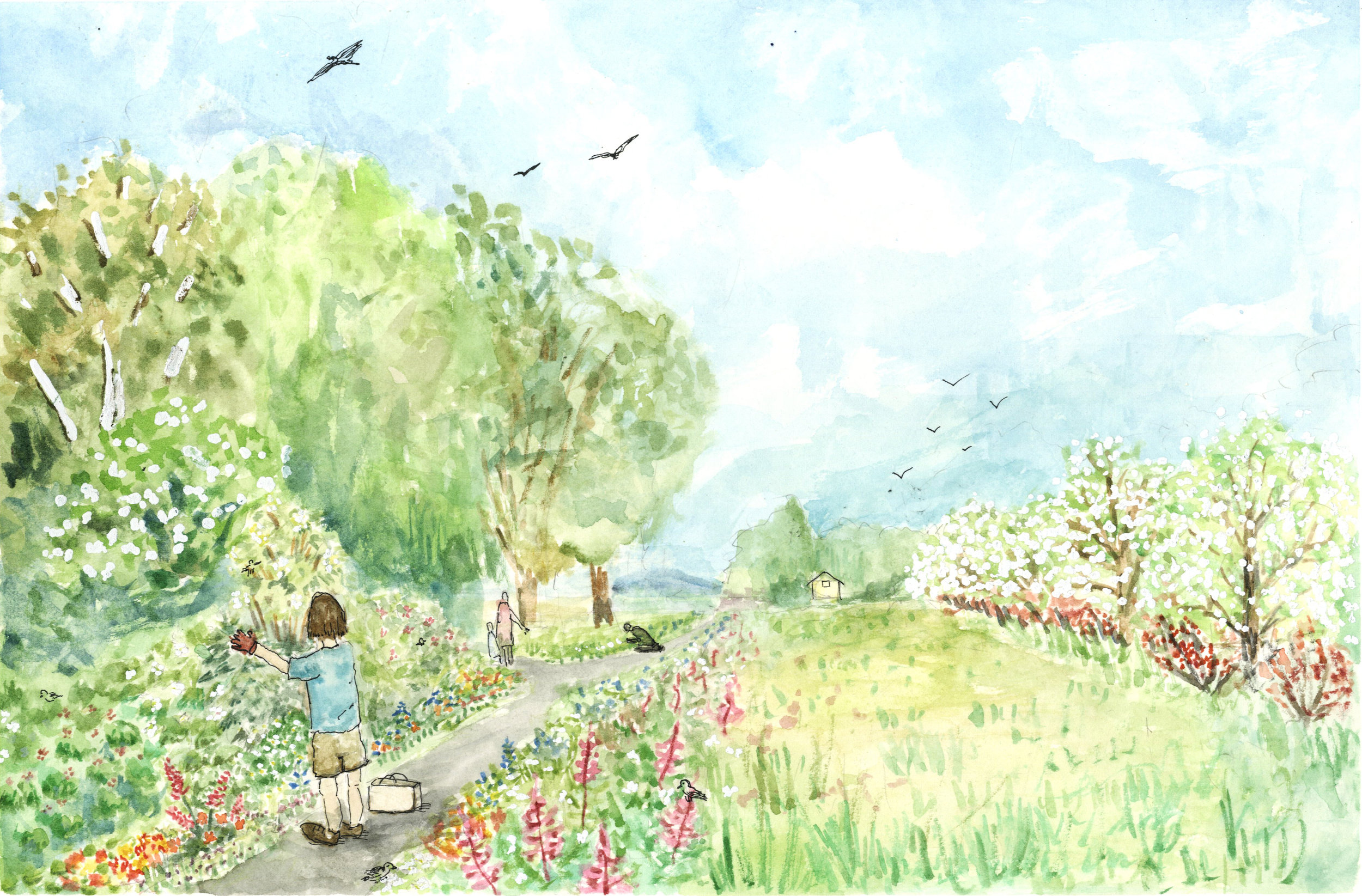 SPRING, EDIBLE/FORAGE, HEDGEROW