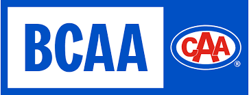 BCAA.png