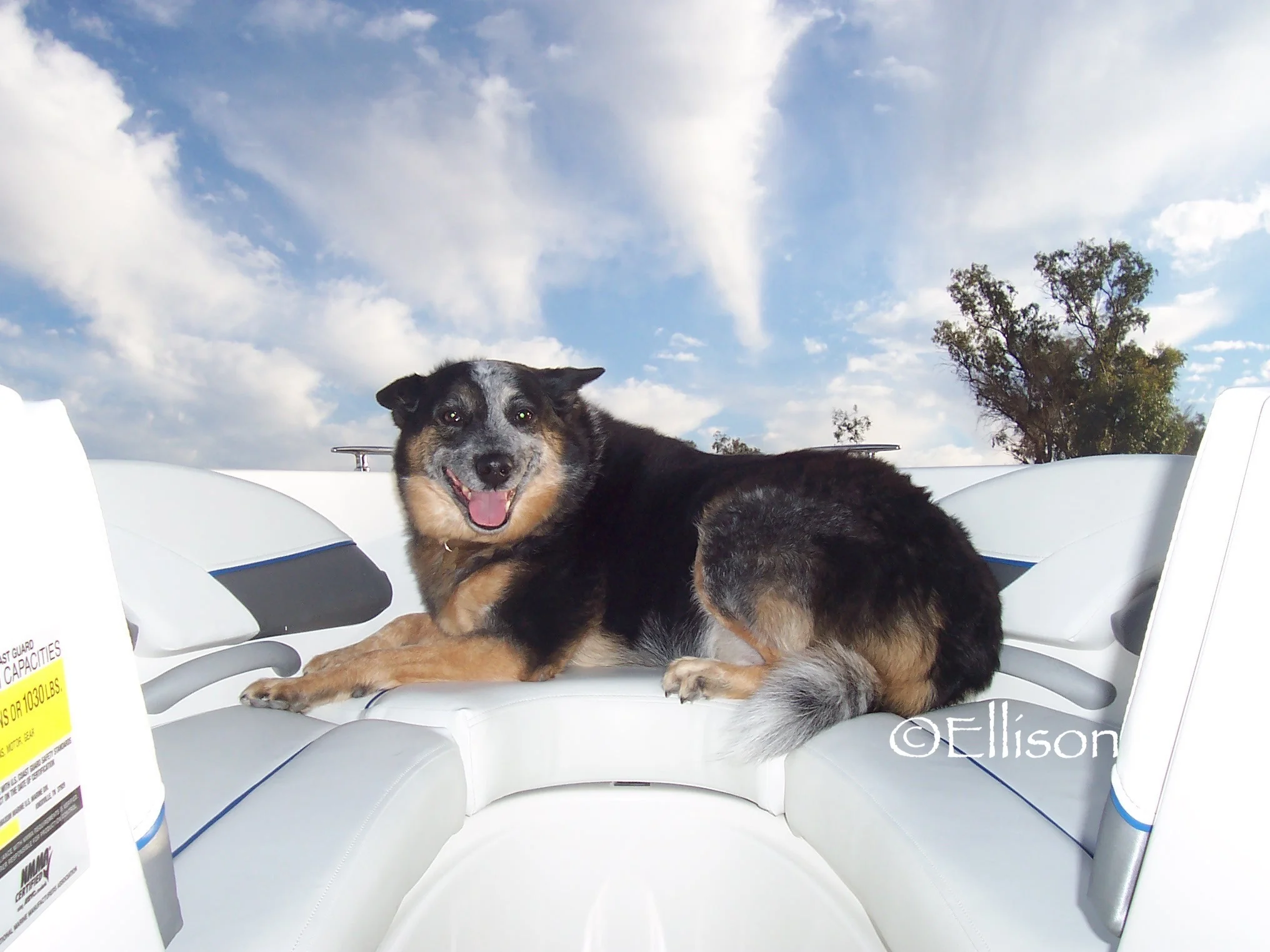 boating 007.jpg