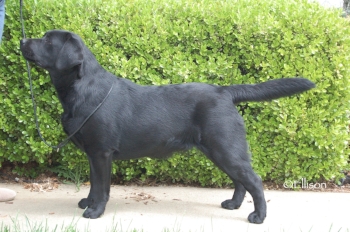 Katy 8 months