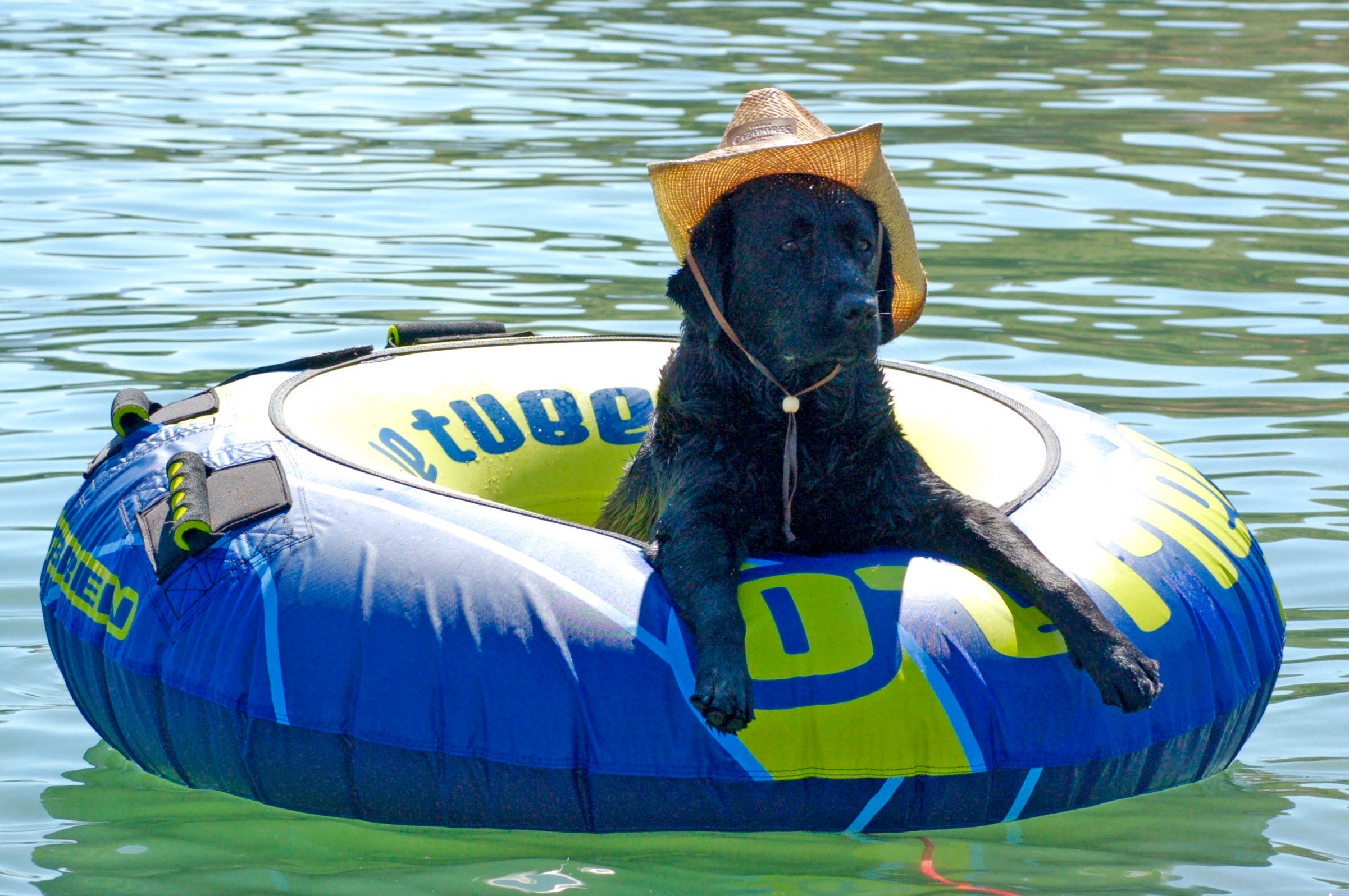 Truffle had style at the lake!
