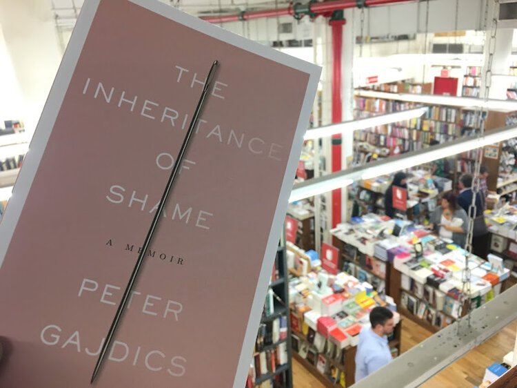 Image of book over bookstore.jpeg