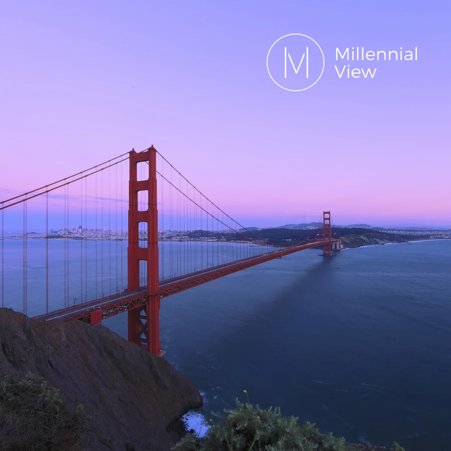 Value of the Millennial View Platform as Consumers