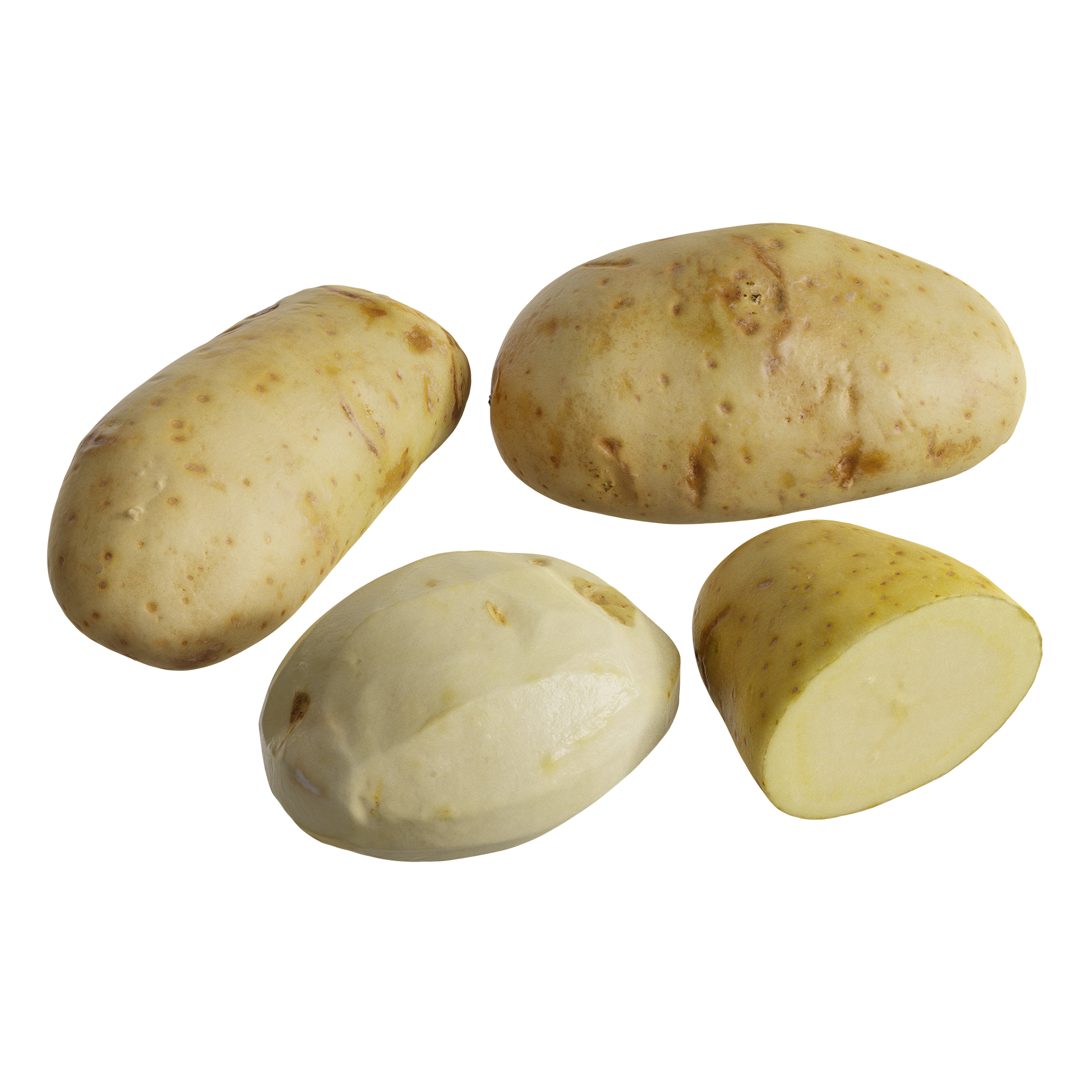 Potato Models