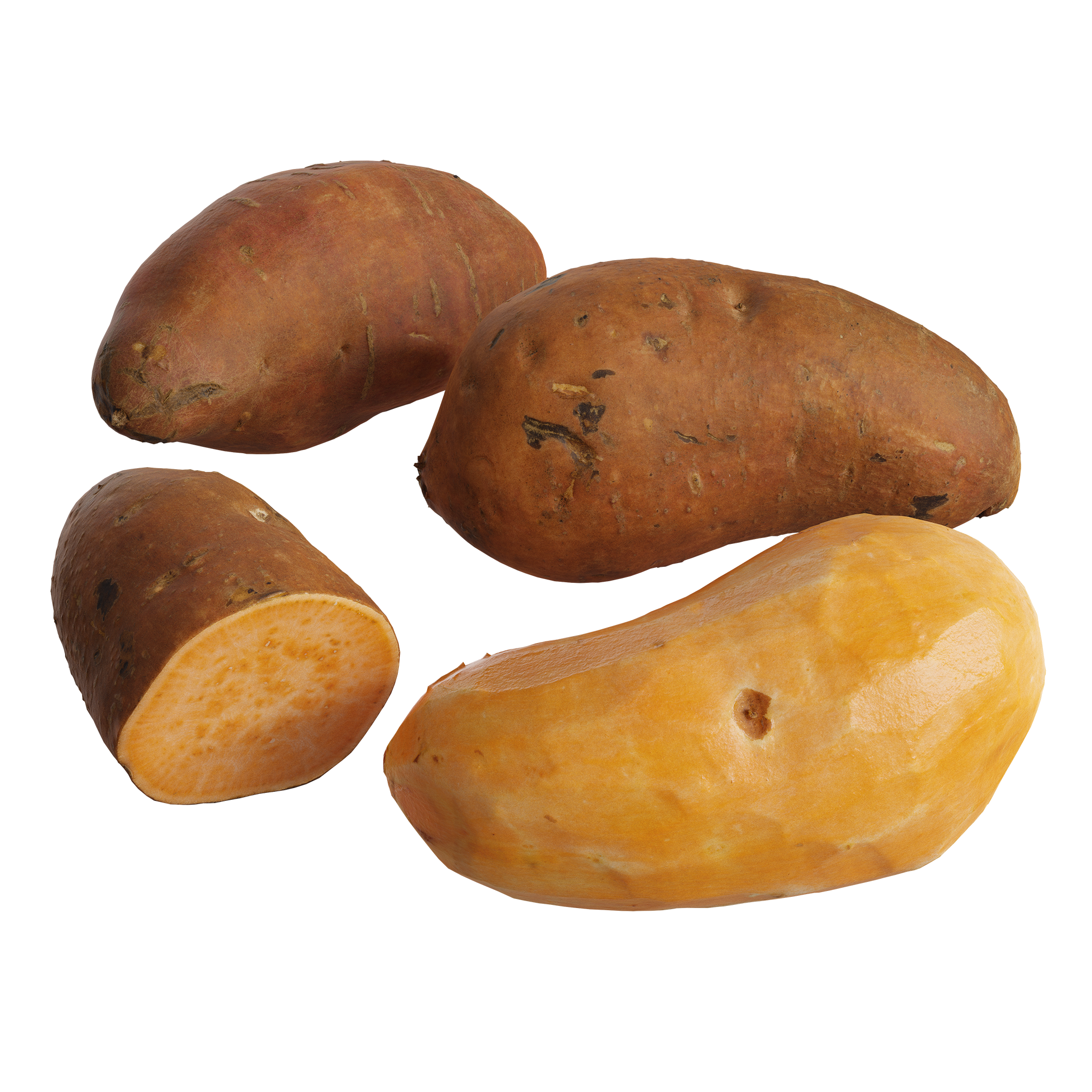 Sweet Potato Models