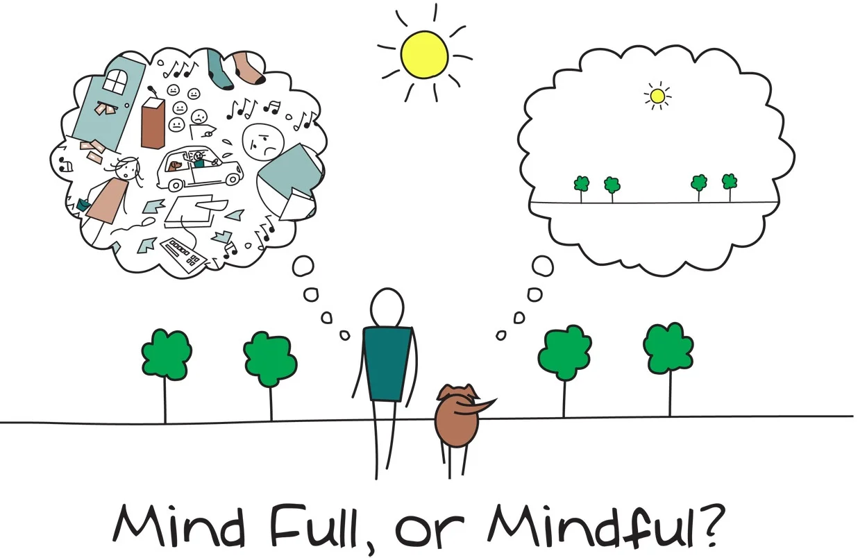 z+mindfulness1.jpg