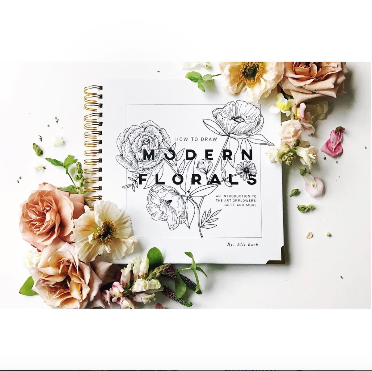 Screen Shot 2017-05-23 at 10.29.02 AM.png