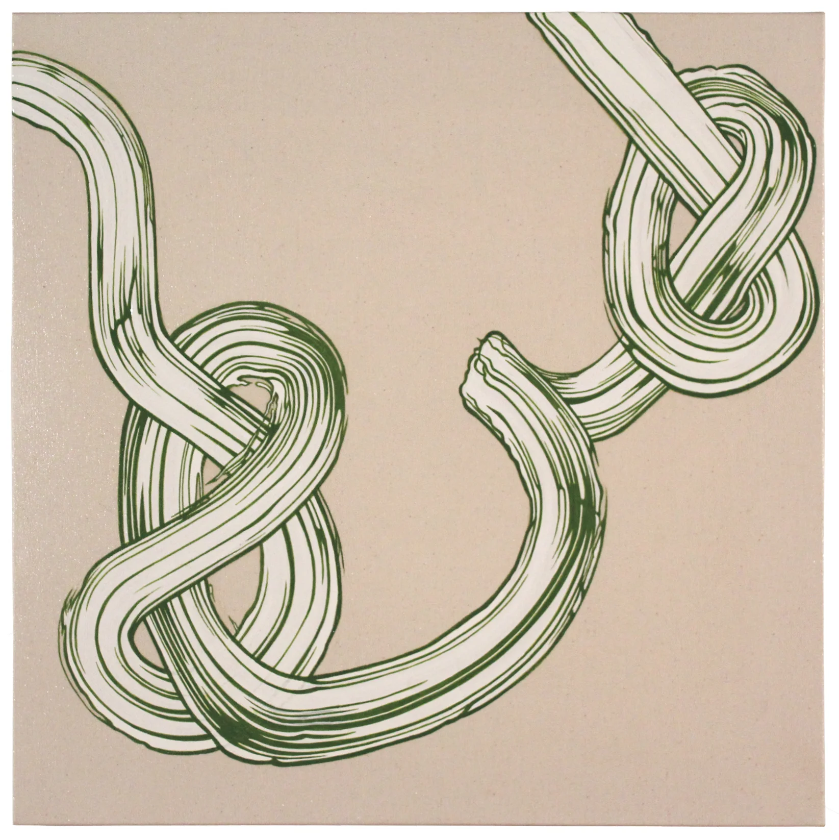 White Knots