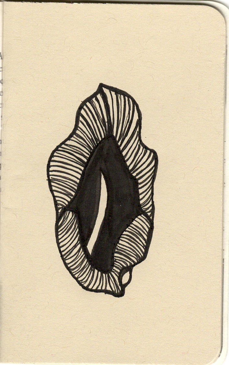 Vag1