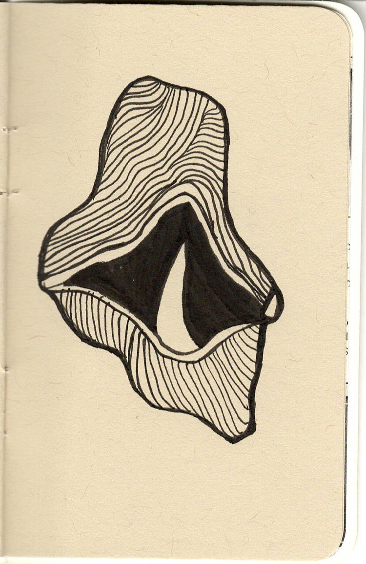 Vag9