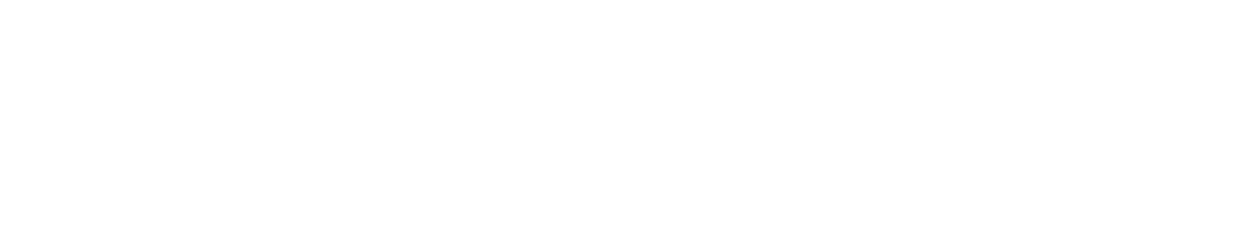 Elecosoft_white.png