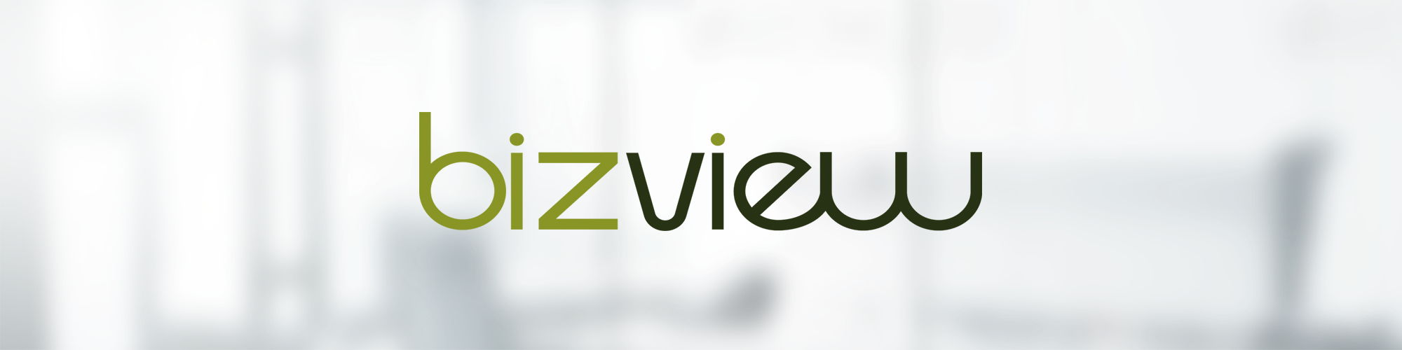 mall - bizview sajt.png