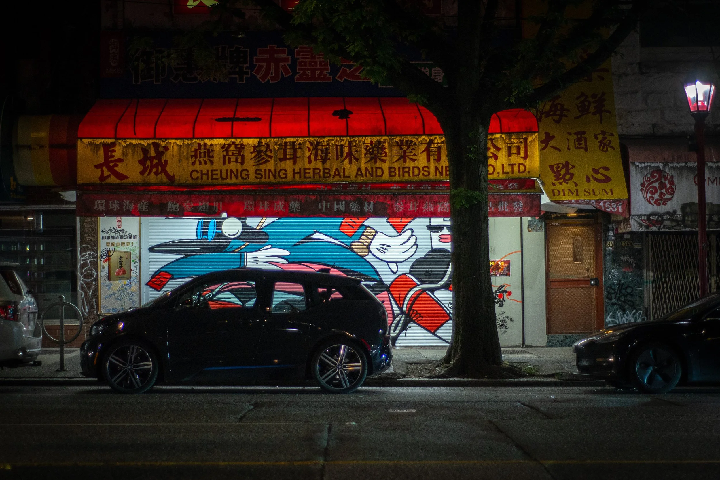 DSC_8203CHINATOWN-CTING-PROCESSED.jpg